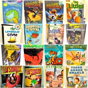 Scholastic Etc. 16 Chapter Books, Grades 1-3, Elementary School, Back To School